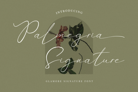 Palmegria: A Modern Script Typeface