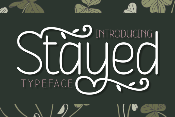 Stayed Font for Web Design