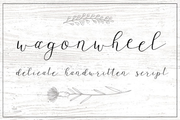 Wagonwheel: A Delicate Script Font
